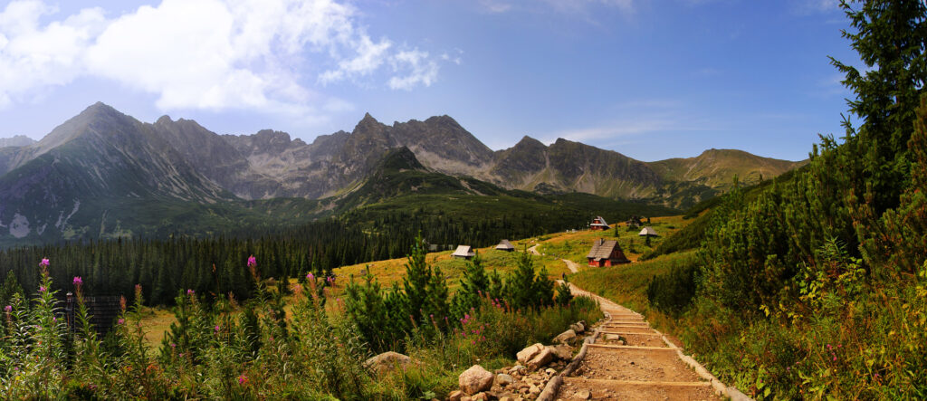Hala Gąsienicowa